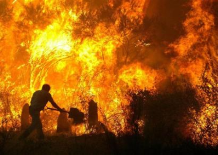 آتش سوزی شدید در روسیه در اثر گرمای شدید هوا