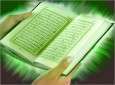أسامة الألفي: القرآن الكريم اهتم بالإنسان وببنائه روحيًا وعقليًا وجسديًا