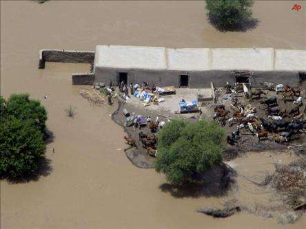 یک میلیون سیل زده پاکستانی نیازمند کمک فوری