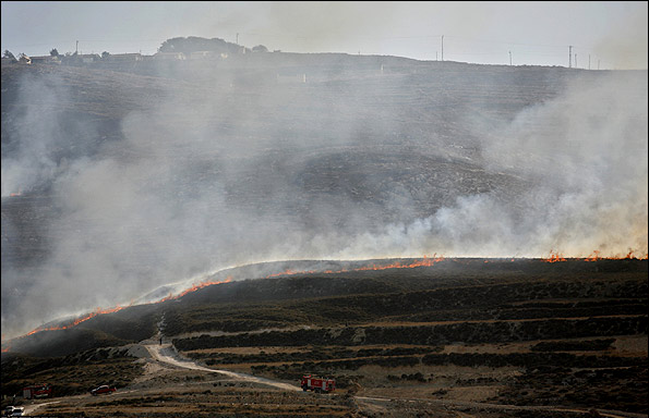 شدیدترین آتش سوزی جنگل در فلسطین اشغالی