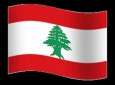 الخارجية اللبنانية تستدعي السفيرة الاميرکية لتدخلها في شؤون البلاد
