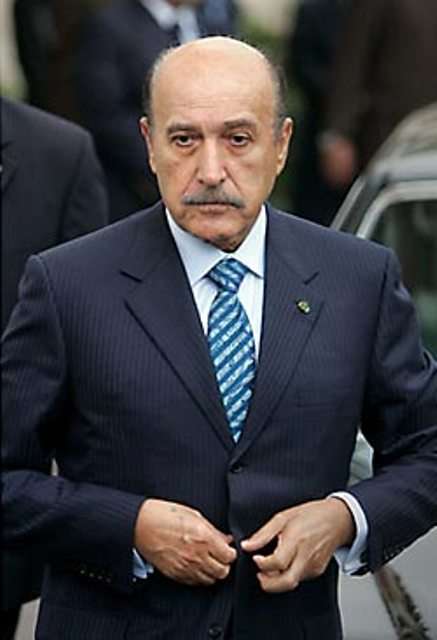 عمر سلیمان، معاون رئیس جمهور مصر