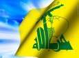 تقدیر حزب الله از مواضع وحدت گرای شیخ الازهر