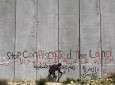 Palestine: manifestations contre le mur de séparation