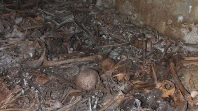The skeletons of Palestinians buried in a mass grave in Tel Aviv’s Jaffa district