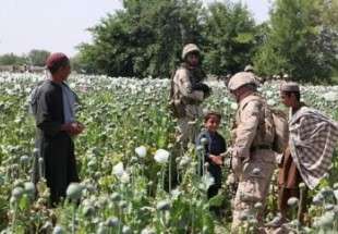 ملتقى افغانستان والمخدرات في عام 2014
