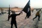 Sunni Rebels, Scholars Reject ISIL Caliphate