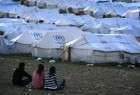 UN Security Council adopts Syria aid resolution