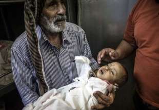 Israeli attacks kill 805 Palestinians in Gaza