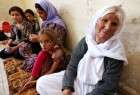 ‘Unity can end Yazidis ordeal in Iraq’