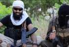Fatwa Condemns IS British Jihadis