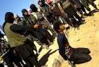 Lebanon’s army to probe ISIL beheading photos