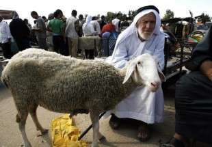 No Eid al-Adha joy for Palestinians in Gaza