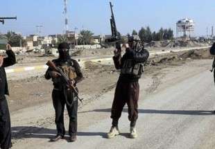 ‘Anti-ISIL coalition, political stunt’