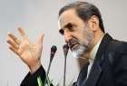 ‘Some P5+1 states seek to pressure Iran’