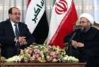 Foreign plots aim to hinder Iraq’s stability