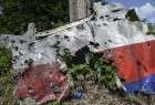 Israel was behind downing of MH17: Professor Fetzer