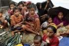 استمرار قتل و آوارگی مسلمانان روهینگیا در میانمار