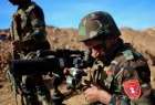 Kurdish forces kill 16 ISIL militants in NE Syria
