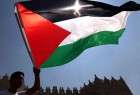 Portuguese MPs Support Palestinian State