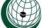 OIC Hails EU Resolution on Recognition of Palestine Statehood