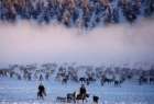 Lifestyle in Siberia (Photo)  <img src="/images/picture_icon.png" width="13" height="13" border="0" align="top">