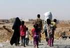 ISIL crimes displace over 2mn Iraqis: IOM
