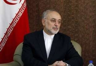 رئيس منظمة الطاقة الذرية الإيرانية، علي أكبر صالحي