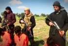 ISIL executes 30 civilians in Syria
