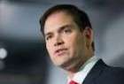 Rubio playing off Iran deal to please Jewish voters: US journalist