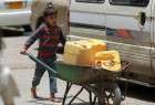 FAO warns of food insecurity in Yemen
