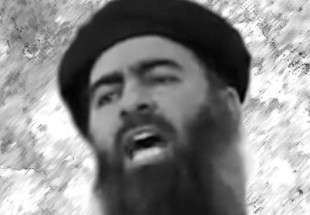 ISIL leader Baghdadi hiding in al-Ba’aj in northern Iraq: Report