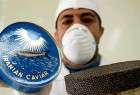 Iran sees jump in prized caviar output