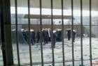 قدرت‌نمایی آل‌خلیفه با حبس مخالفان/ كمكهای امنيتی امريكا به حكومت بحرين