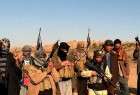 فرار جنگجویان خارجی داعش از الانبار/کشته شدن والی داعش در الحویجه