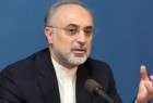 Iran to build 2 nuclear power plants
