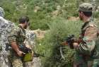 Government troops, Hezbollah fighters kill 70 militants in Syria