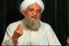 Lebanese cleric rejects political sectarian borders in Islamic states