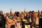 داعش 21 عضو خود را در الانبار اعدام کرد
