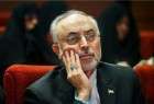 Iran Mulling Nuclear Fuel Exchange with Russia: AEOI Chief