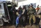 28 Palestinians arrested across occupied territories