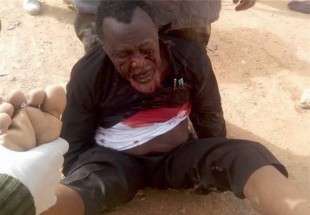 رهبرشیعیان نیجریه با چهارگلوله هدف قرارگرفته و زخمی شده است