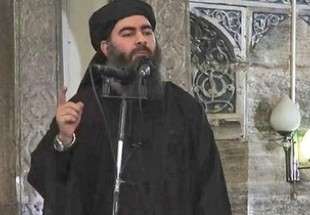 Abu Bakr al-Baghdadi’s nephew killed in airstrike