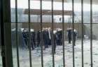 Bahraini prisoners stage hunger strike