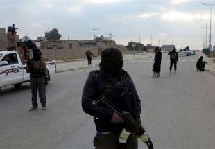 Daesh militants kill dozen comrades in western Iraq