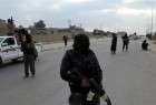 Daesh militants kill dozen comrades in western Iraq