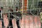 اوضاع بحرانی اسرای فلسطینی در زندان نقب/ آغاز اقدامات اعتراضی اسرای حماس در زندان