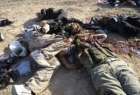 هلاکت 65 تروریست در صحرای سینا