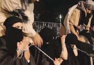 1800  زن ایزدی عراقی همچنان در اسارت داعش
