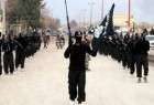 Riyadh admits funding ISIL, Iraq calls for explanation